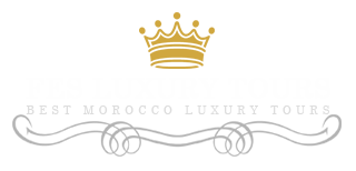 logo Fez Luxury Tours