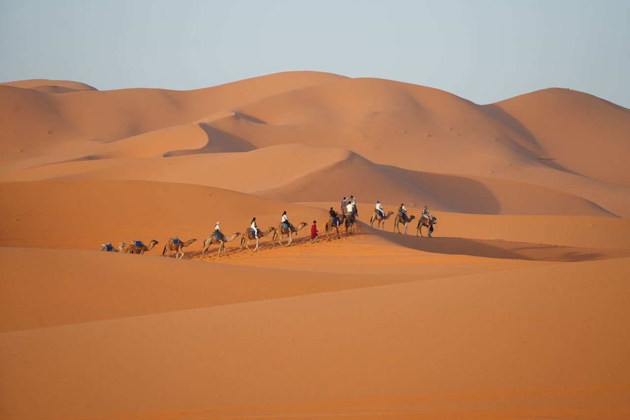 Camel caravan crossing the Merzouga dunes at sunset