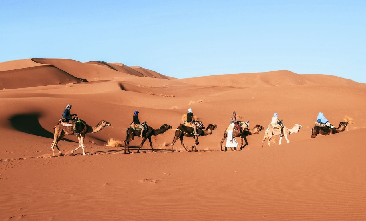 Camel caravan in the Sahara near Foum Zguid