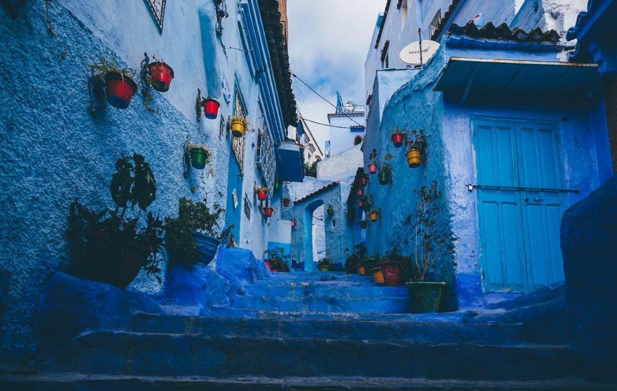 Flower pots on the blue walls of an alley in Chefchaouen, on a day trip from Fes