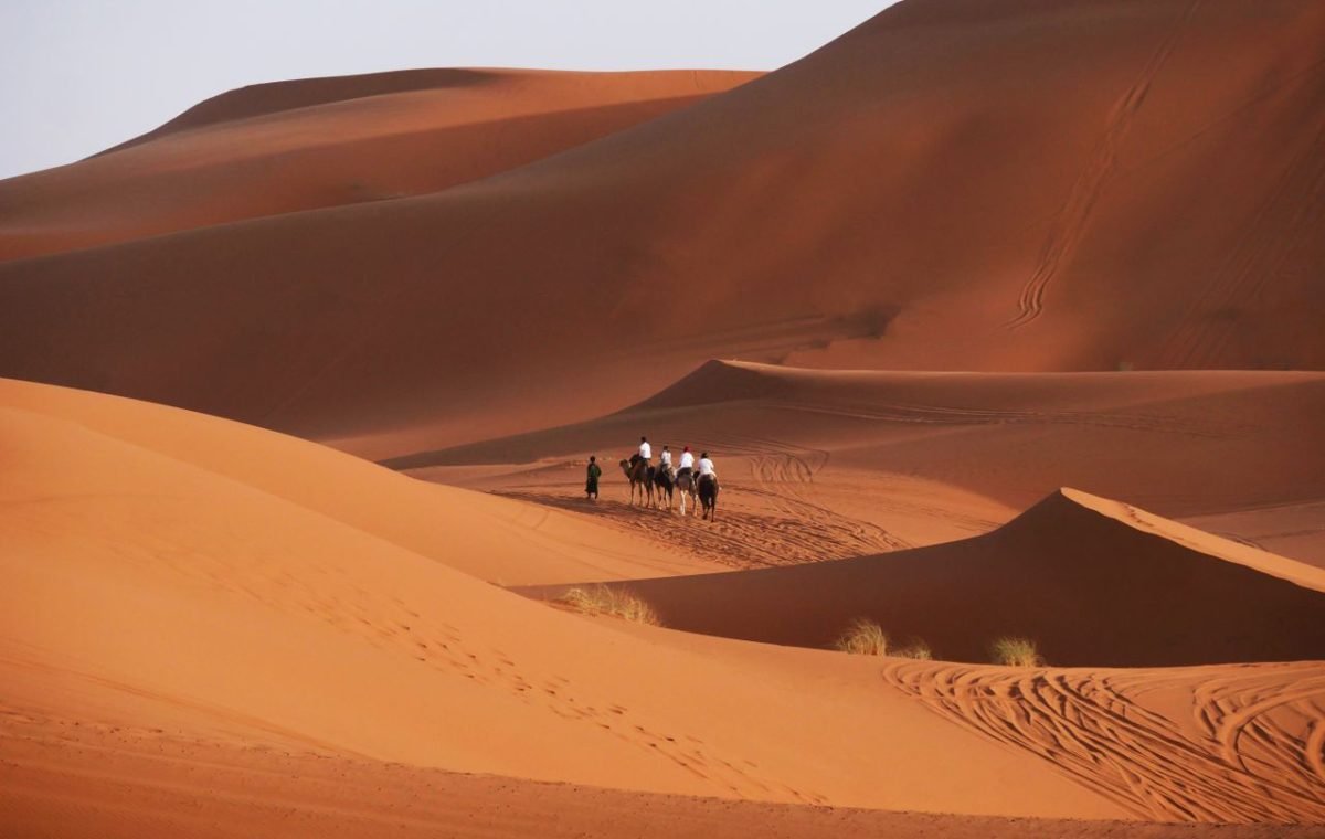 Camel caravan crossing sunlit dunes in the Moroccan Sahara, between Marrakech and Casablanca