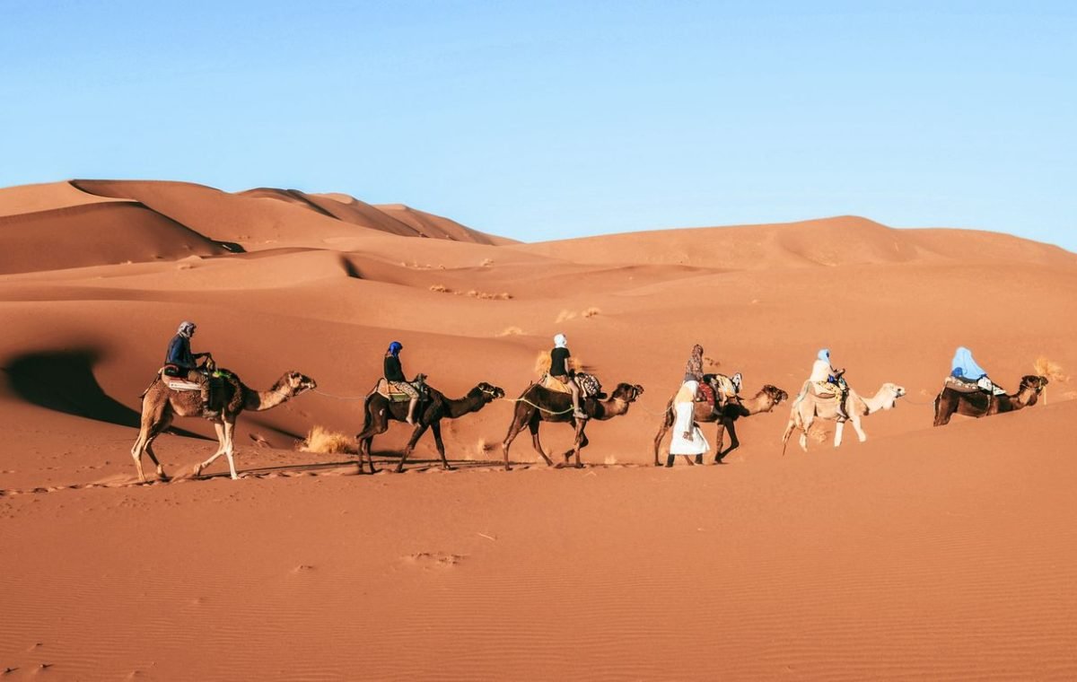 Camel caravan in the Sahara near Foum Zguid, on a Casablanca desert tour