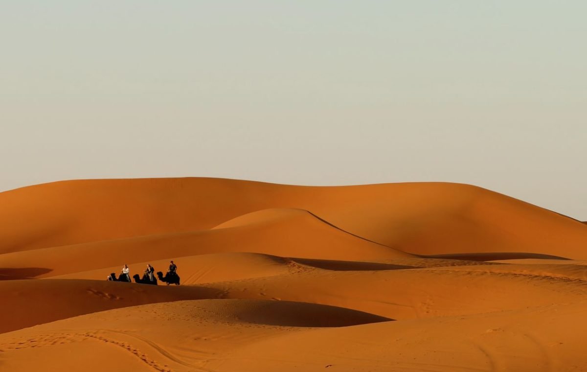 Camels and riders crossing the dunes of the Moroccan desert