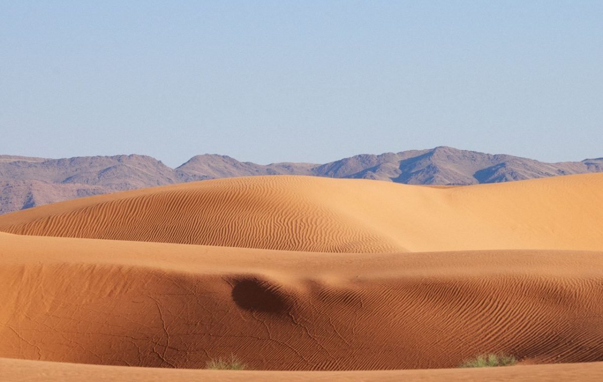 Desert dunes with a mountain range in the distance